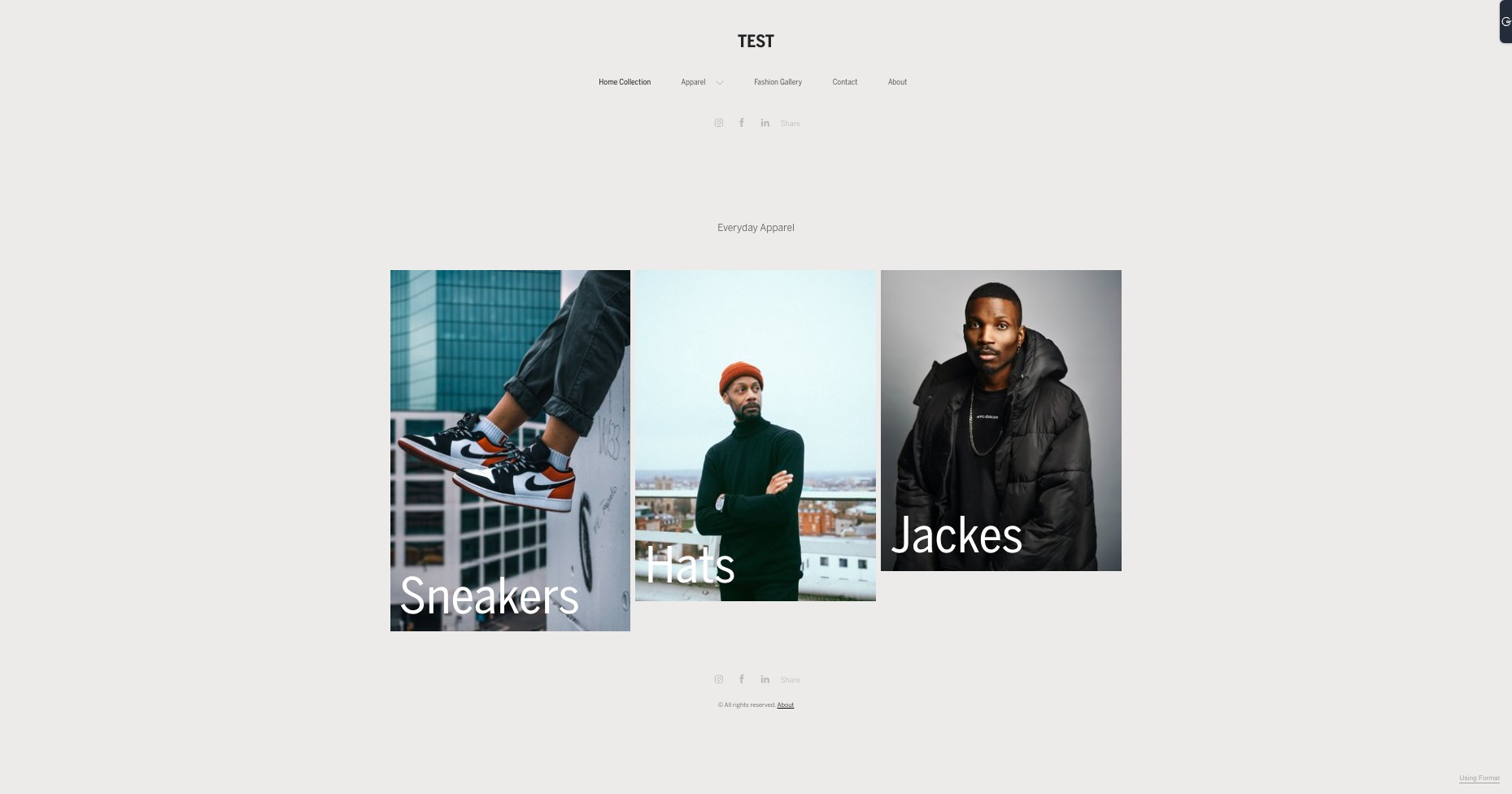 This is an example of a Collection Page created with the Amazon theme: