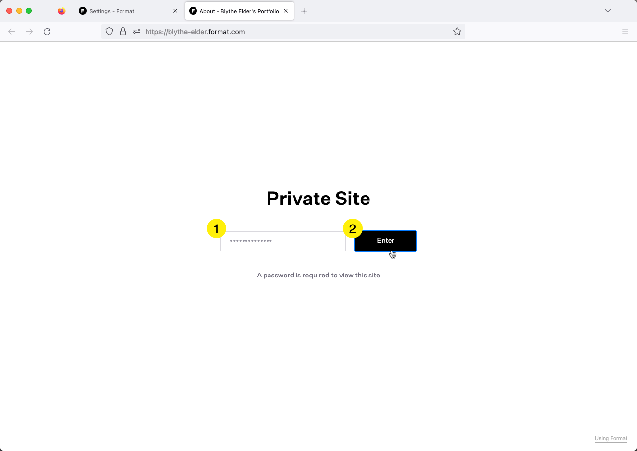 Screenshot showing website homepage in browser that requires a password to enter
