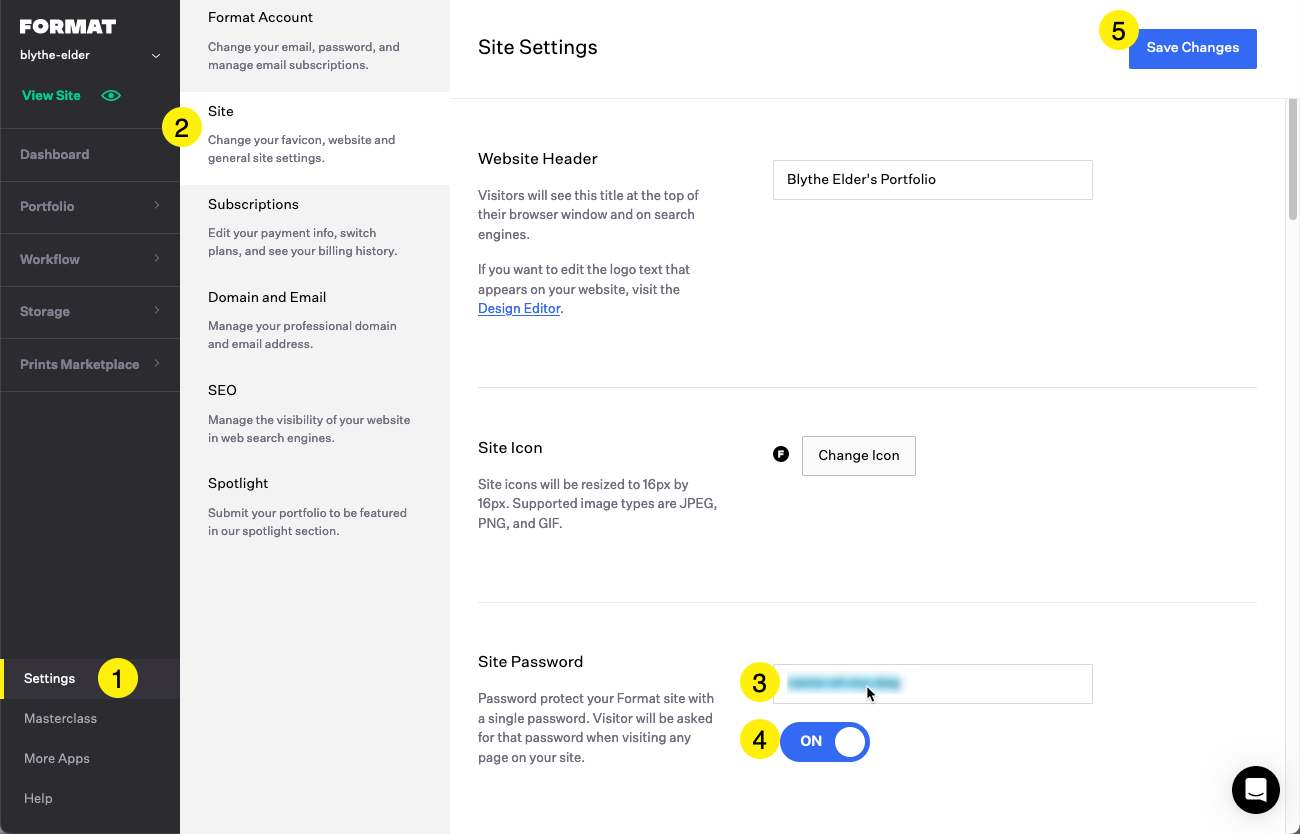 Format Dashboard showing Settings and Site panes active and the Site Password field updated