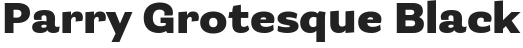 parry-grotesque-black.png