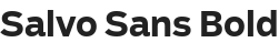 salvo-sans-bold.png