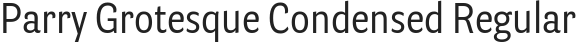 parry-grotesque-condensed-regular.png