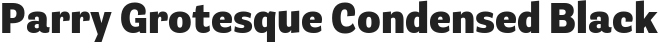 parry-grotesque-condensed-black.png