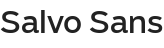 salvo-sans.png