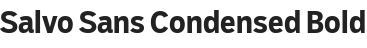 salvo-sans-condensed-bold.png
