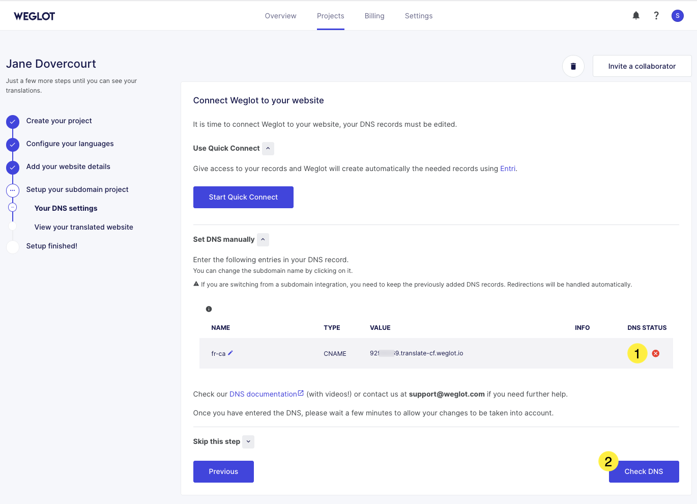 09_Weglot_Your_DNS_settings_Check_DNS.png