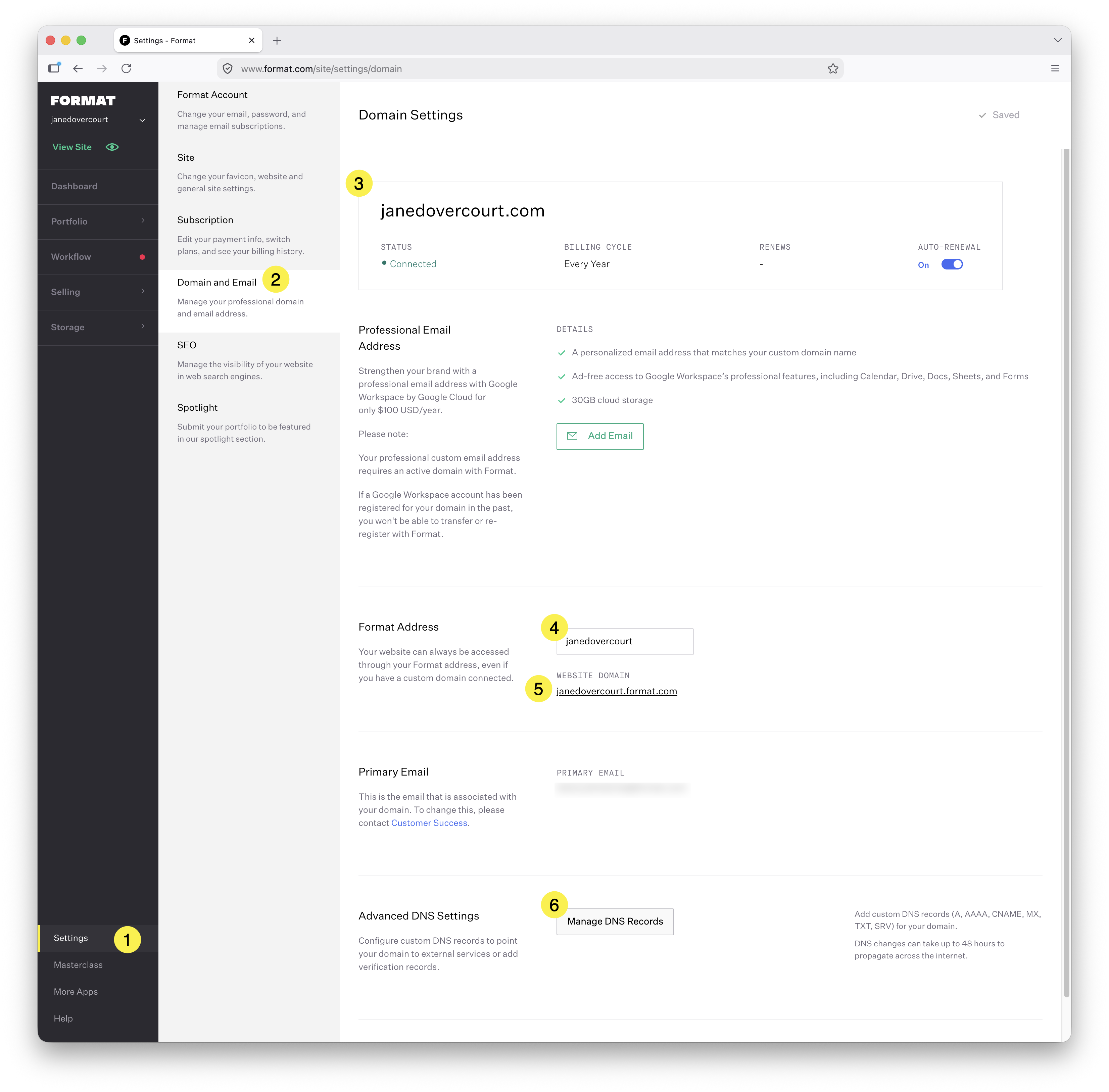 Settings > Domain and Email and how to get to Manage DNS Records with numbered steps 1 to 6